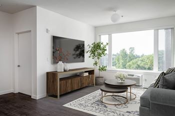 Large windows